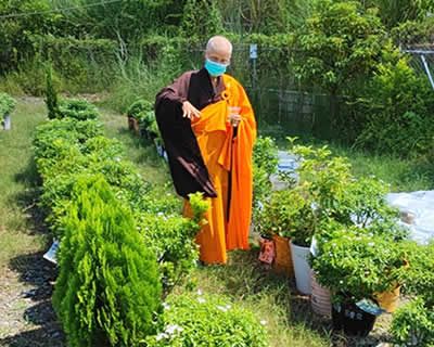 寵物往生追思祈福超渡法會花絮