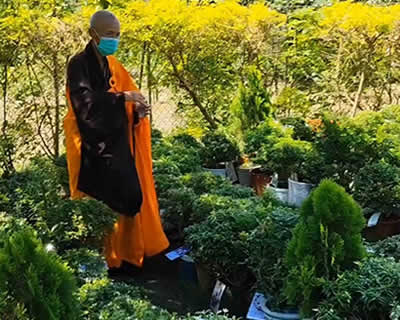 寵物往生追思祈福超渡法會花絮